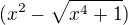 $(x^2-\sqrt{x^4+1})$