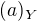 $(a)_Y$