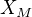 $X_{M}$