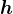 $\boldsymbol{h}$