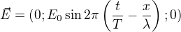 $\vec E=(0;E_0\sin2\pi\left(\frac tT-\frac x\lambda\right);0)$