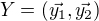 $Y=(\vec{y_{1}},\vec{y_{2}})$