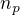 $n_{p}$