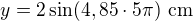 $y=2\sin(4,85\cdot 5\pi)\ \text{cm}$