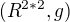 $(R^{2*2},g)$