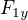 $F_{1y}$