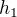 $h_{1}$
