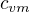 $c_{vm}$