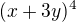 $(x+3y)^4$
