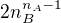 $2n_{B}^{n_{A}-1}$