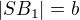$|SB_1|=b$