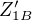 $Z_{1B}'$