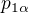 $p_{1\alpha}$