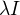 $\lambda I$
