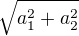 $\sqrt{a_{1}^{2}+a_{2}^{2}}$