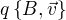 $q\{B,\vec v\}$