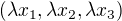 $(\lambda x_1,\lambda x_2,\lambda x_3)$