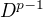 $D^{p-1}$