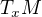 $T_{x}M$