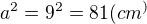$a^2=9^2=81(cm^)$