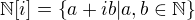 $\mathbb{N}[i] = \{a+ib| a,b \in \mathbb{N}\}$