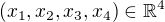 $(x_{1},x_{2},x_{3},x_{4}) \in \mathbb{R}^{4}$