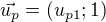 $\vec{u_p} = (u_{p1}; 1)$