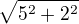 $\sqrt{5^2+2^2}$