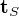 $\textbf{t}_S$
