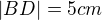 $|BD|= 5cm$
