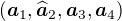 $(\boldsymbol{a}_1,\widehat{\boldsymbol{a}}_2,\boldsymbol{a}_3,\boldsymbol{a}_4)$