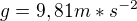 $g = 9,81 m*s^{-2}$
