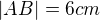 $|AB|=6cm$