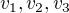 $v_1,v_2,v_3$