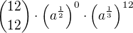 ${12\choose 12}\cdot \left(a^{\frac 12}\right)^{0}\cdot\left(a^{\frac 13}\right)^{12}$