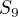 $S_{9}$