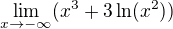 $\lim_{x\to -\infty} (x^{3}+3\ln (x^{2}))$