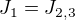 $J_1=J_{2,3}$