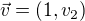 $\vec{v}=(1,v_{2})$