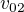 $v_{02}$