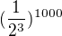 $(\frac{1}{2^{3}})^{1000}$
