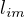 $l_{im}$