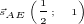 $\vec s_{\tiny AE}\left(\frac 12\,;\quad 1\right)$