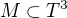 $M \subset T^{3} $