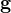 $\textbf{g}$