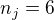 $n_{j}=6$