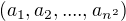 $(a_1, a_2,...., a_{n^2})$