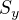 $S_{y}$
