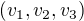 $(v_1,v_2,v_3)$