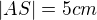 $|AS|=5 cm$